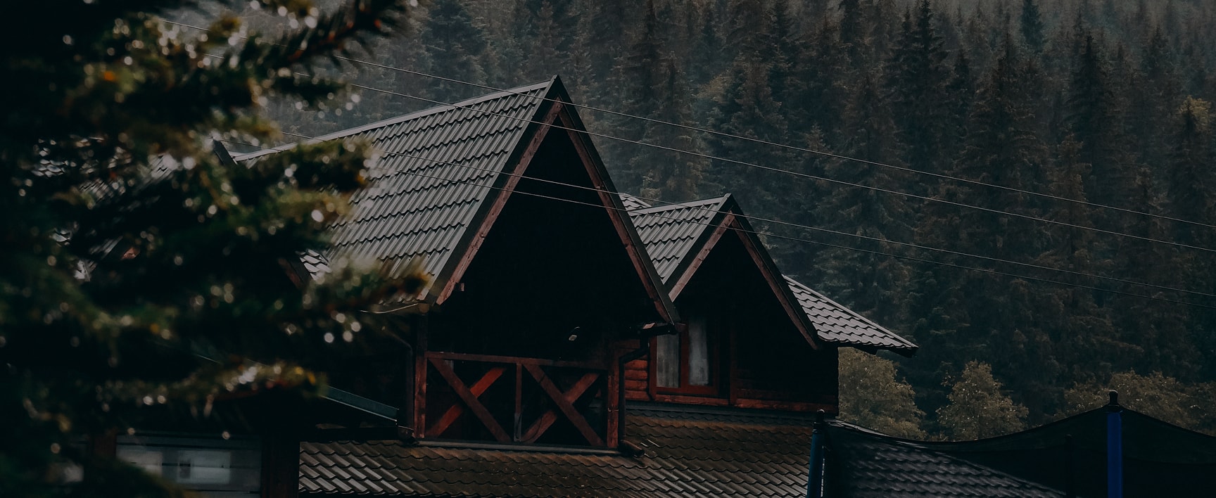 Cottage in the forest